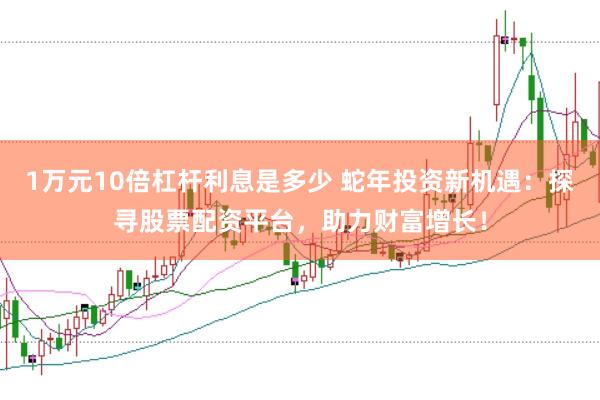 1万元10倍杠杆利息是多少 蛇年投资新机遇：探寻股票配资平台，助力财富增长！