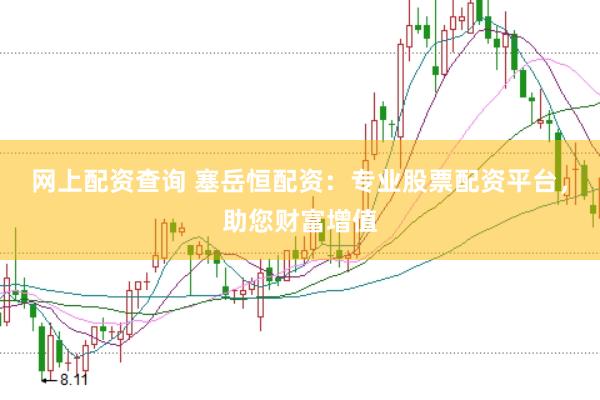 网上配资查询 塞岳恒配资：专业股票配资平台，助您财富增值