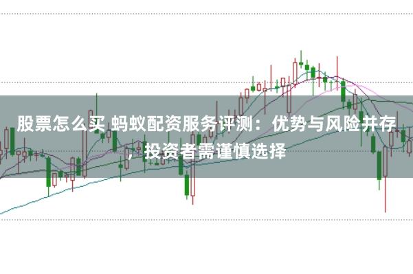 股票怎么买 蚂蚁配资服务评测：优势与风险并存，投资者需谨慎选择