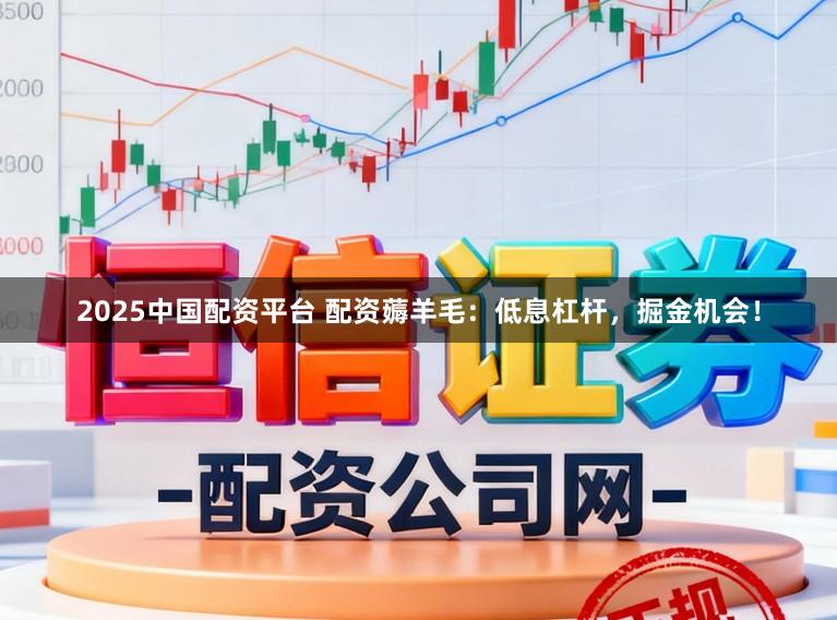 2025中国配资平台 配资薅羊毛：低息杠杆，掘金机会！