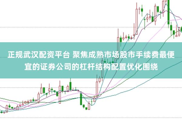 正规武汉配资平台 聚焦成熟市场股市手续费最便宜的证券公司的杠杆结构配置优化围绕