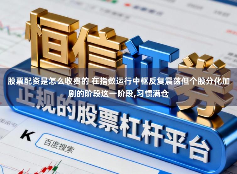 股票配资是怎么收费的 在指数运行中枢反复震荡但个股分化加剧的阶段这一阶段,习惯满仓