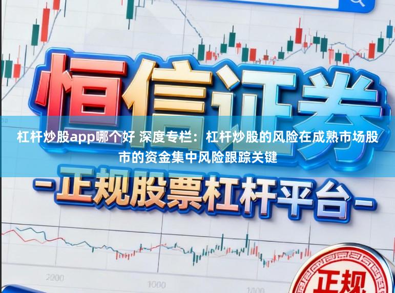 杠杆炒股app哪个好 深度专栏：杠杆炒股的风险在成熟市场股市的资金集中风险跟踪关键