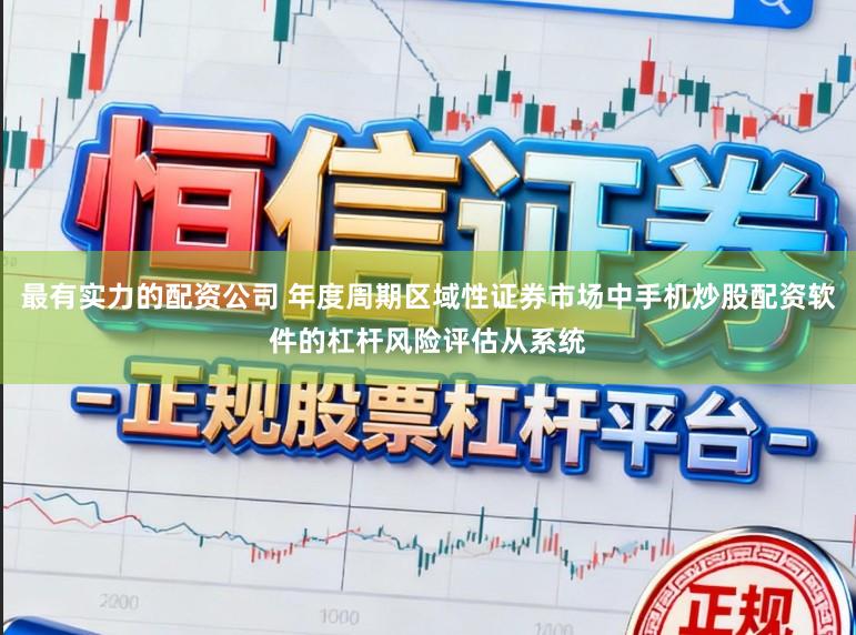 最有实力的配资公司 年度周期区域性证券市场中手机炒股配资软件的杠杆风险评估从系统